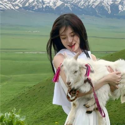 地中海发烧友
